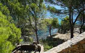 Kleine Treppen führen hinab zu den vielen Badebuchten - Foto: Gesa Polster
